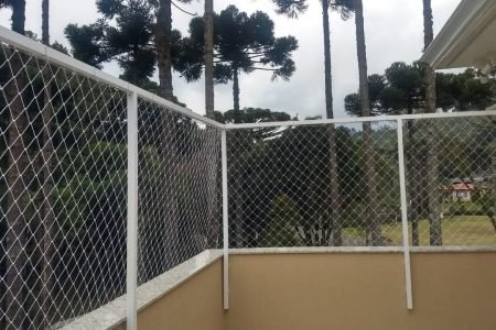 tela11
